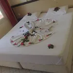 Palmiye Side