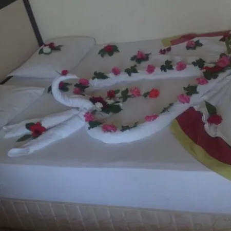 Отель Palmiye Сиде