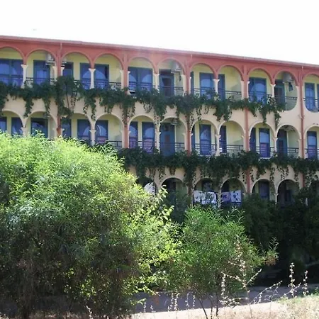 Palmiye