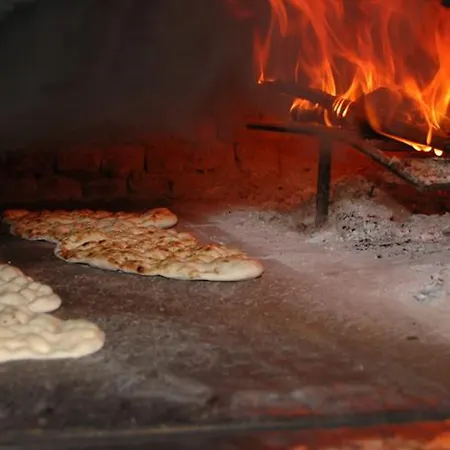فندق Palmiye