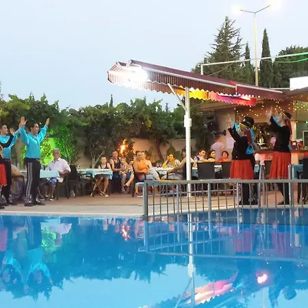 Palmiye فندق