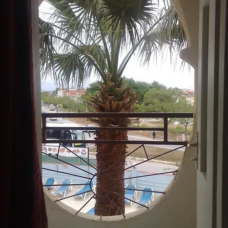 Palmiye 2*