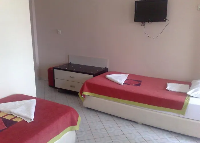 Отель Palmiye 2*